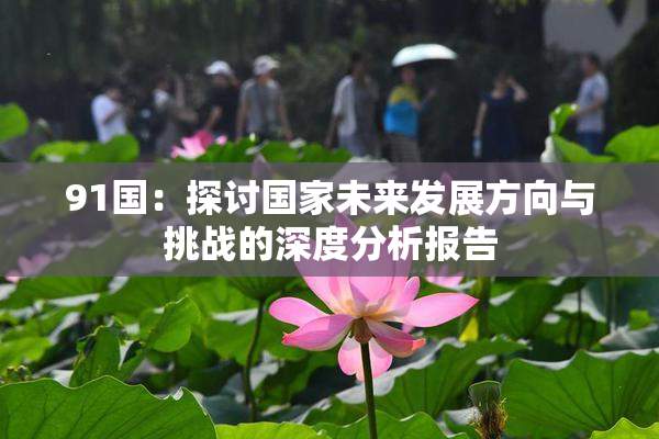 91国：探讨国家未来发展方向与挑战的深度分析报告
