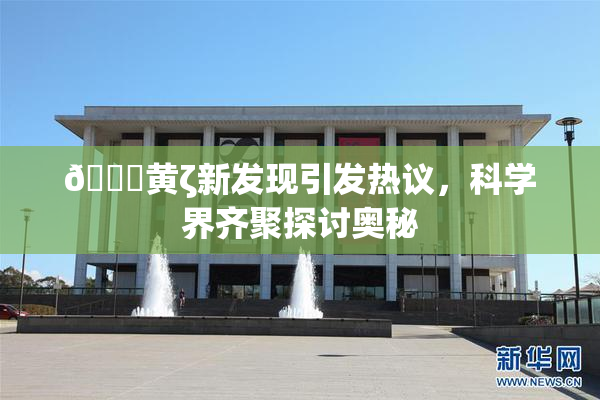 🔞黄ζ新发现引发热议，科学界齐聚探讨奥秘
