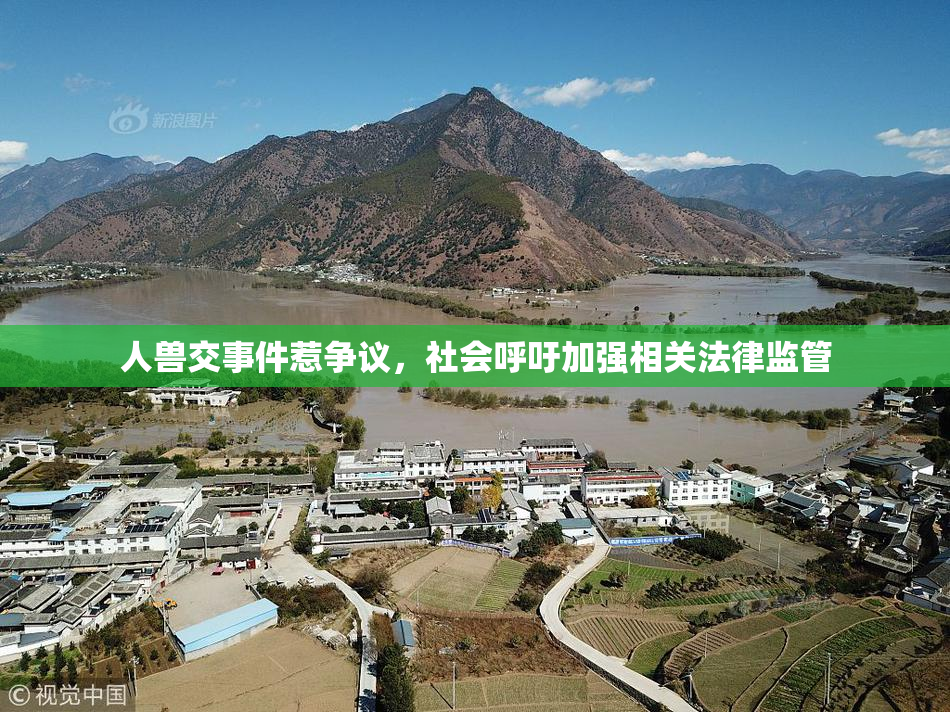 人兽交事件惹争议，社会呼吁加强相关法律监管