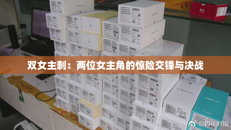 双女主刺：两位女主角的惊险交锋与决战