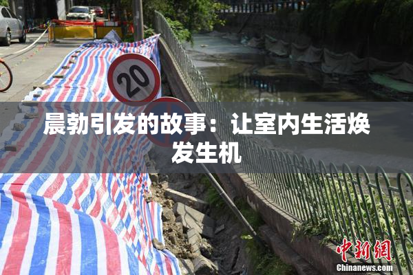 晨勃引发的故事：让室内生活焕发生机