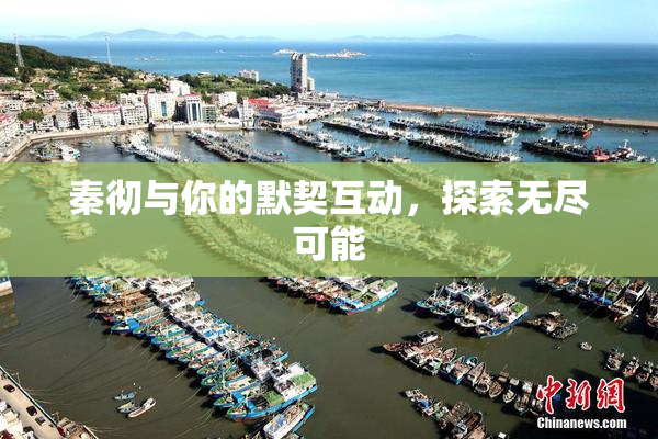秦彻与你的默契互动，探索无尽可能