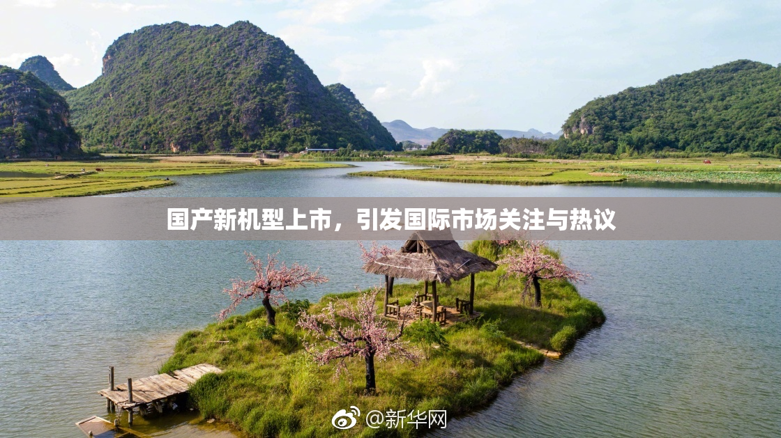 国产新机型上市，引发国际市场关注与热议