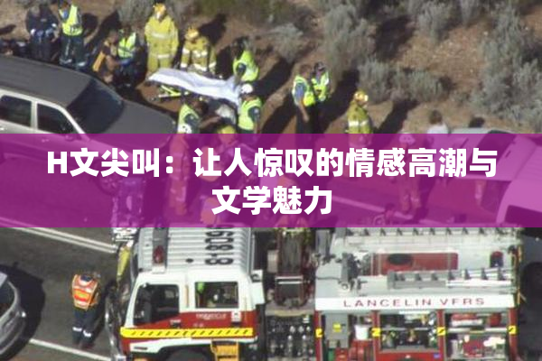 H文尖叫：让人惊叹的情感高潮与文学魅力