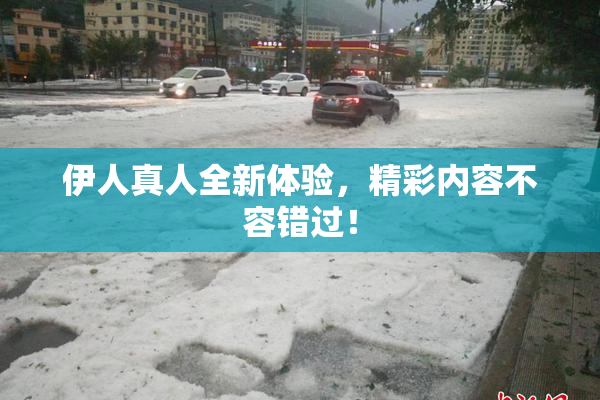 伊人真人全新体验，精彩内容不容错过！