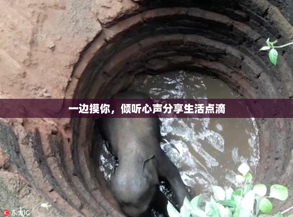 一边摸你，倾听心声分享生活点滴