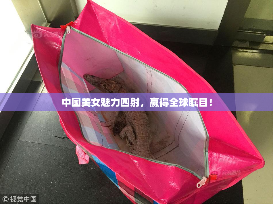中国美女魅力四射，赢得全球瞩目！