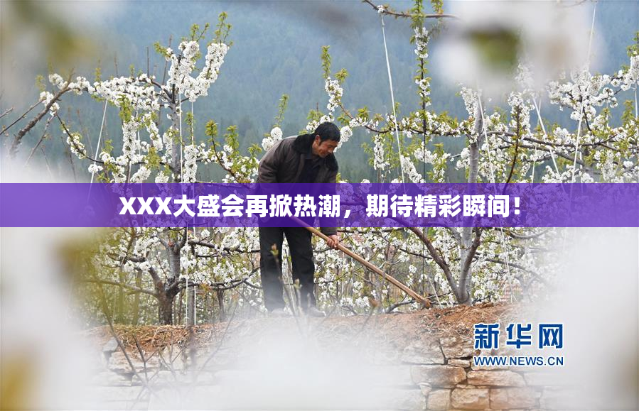 XXX大盛会再掀热潮，期待精彩瞬间！