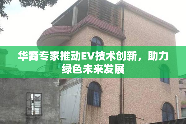 华裔专家推动EV技术创新，助力绿色未来发展