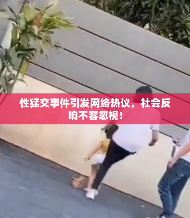 性猛交事件引发网络热议，社会反响不容忽视！
