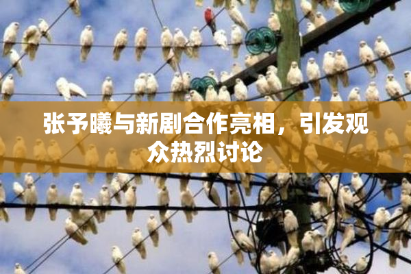 张予曦与新剧合作亮相，引发观众热烈讨论