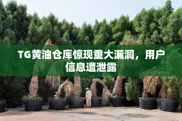 TG黄油仓库惊现重大漏洞，用户信息遭泄露