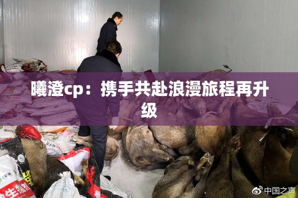 曦澄cp：携手共赴浪漫旅程再升级