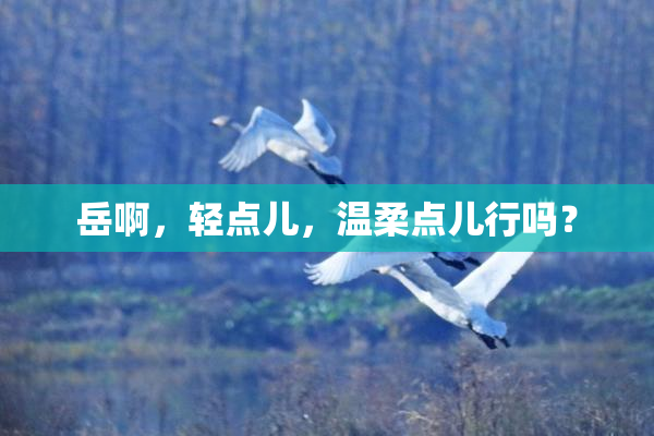 岳啊，轻点儿，温柔点儿行吗？
