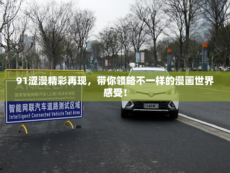 91涩漫精彩再现，带你领略不一样的漫画世界感受！