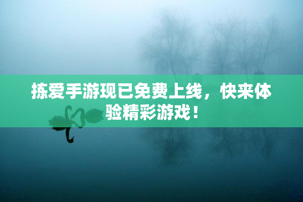 拣爱手游现已免费上线，快来体验精彩游戏！