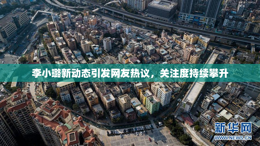 李小璐新动态引发网友热议，关注度持续攀升
