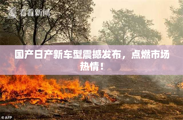 国产日产新车型震撼发布，点燃市场热情！