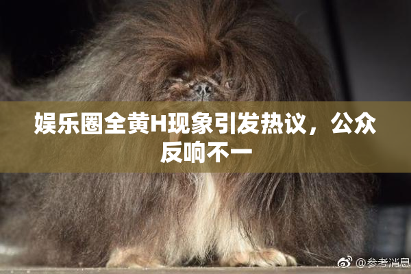 娱乐圈全黄H现象引发热议，公众反响不一