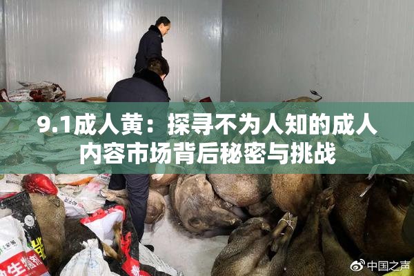 9.1成人黄：探寻不为人知的成人内容市场背后秘密与挑战