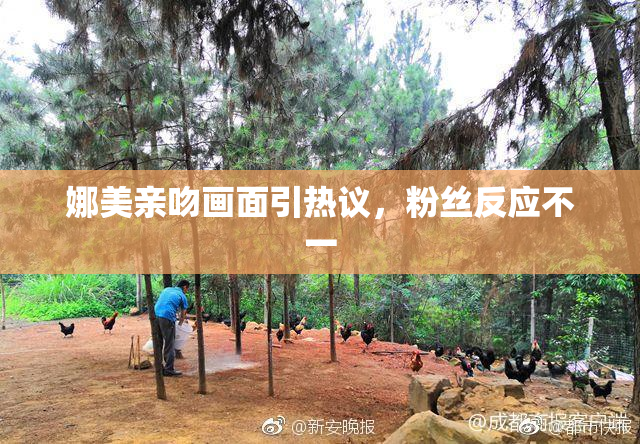 娜美亲吻画面引热议，粉丝反应不一
