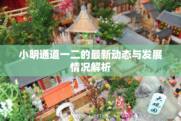 小明通道一二的最新动态与发展情况解析