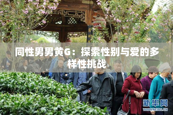 同性男男黄G：探索性别与爱的多样性挑战