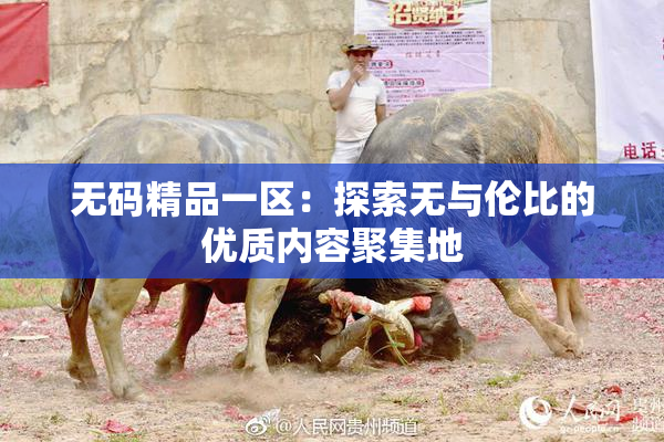 无码精品一区：探索无与伦比的优质内容聚集地