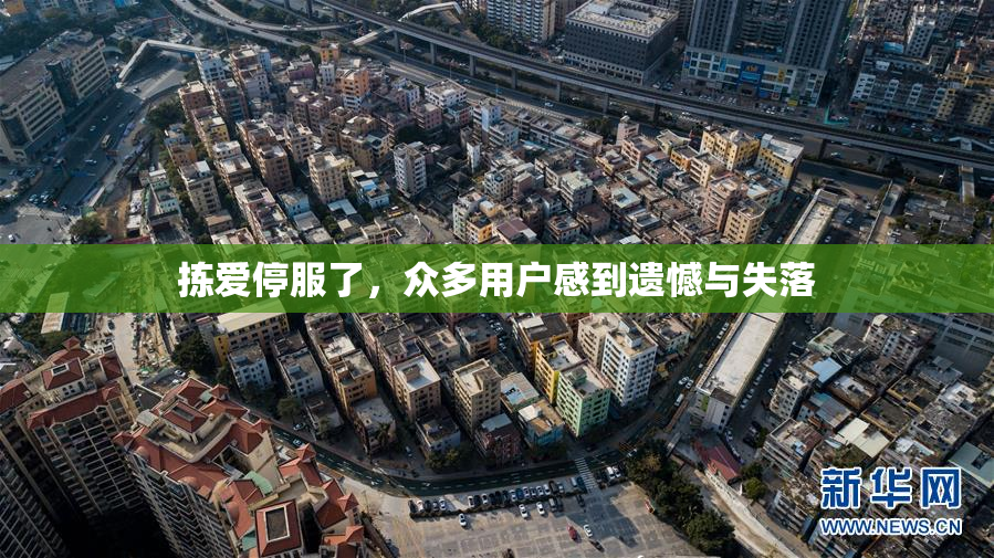 拣爱停服了，众多用户感到遗憾与失落