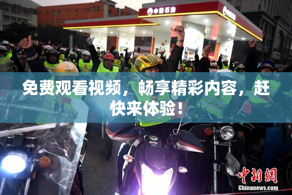 免费观看视频，畅享精彩内容，赶快来体验！