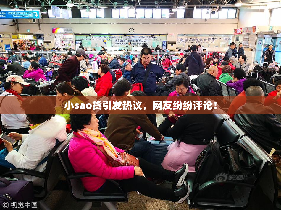 小sao货引发热议，网友纷纷评论！