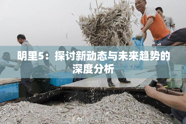 明里5：探讨新动态与未来趋势的深度分析