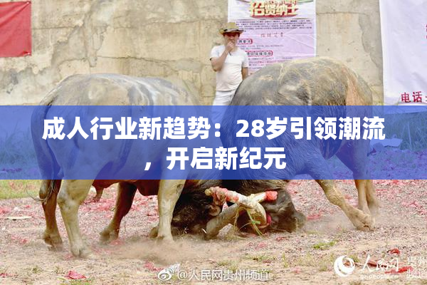 成人行业新趋势：28岁引领潮流，开启新纪元