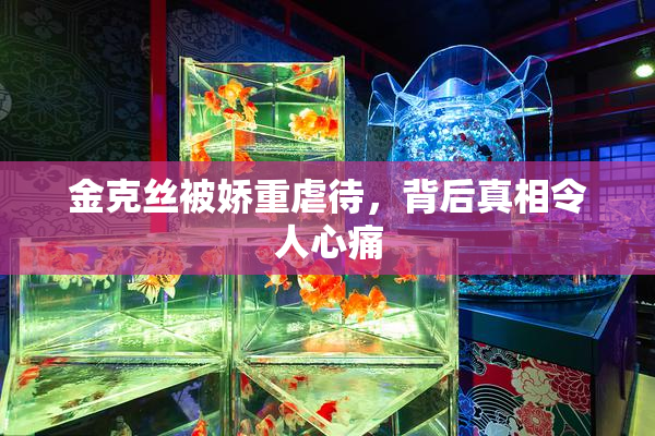 金克丝被娇重虐待，背后真相令人心痛
