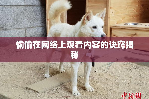 偷偷在网络上观看内容的诀窍揭秘