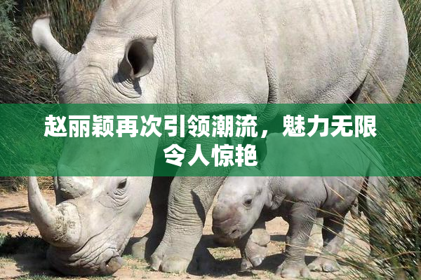 赵丽颖再次引领潮流，魅力无限令人惊艳