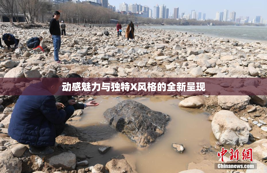 动感魅力与独特X风格的全新呈现
