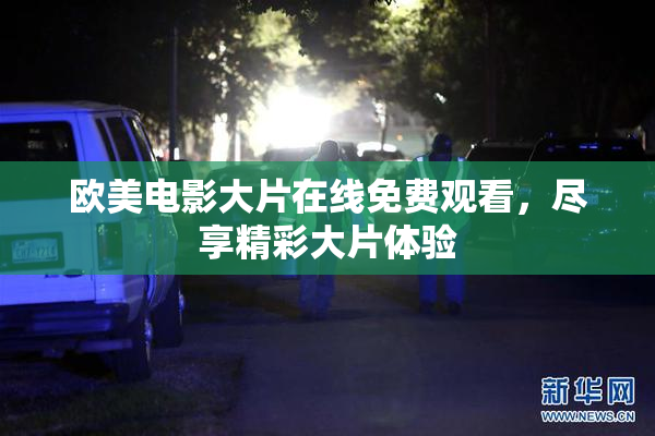欧美电影大片在线免费观看，尽享精彩大片体验