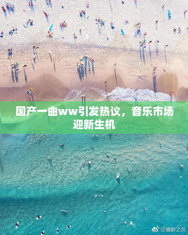 国产一曲ww引发热议，音乐市场迎新生机