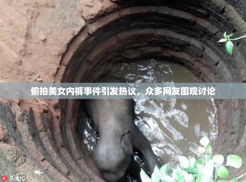 偷拍美女内裤事件引发热议，众多网友围观讨论