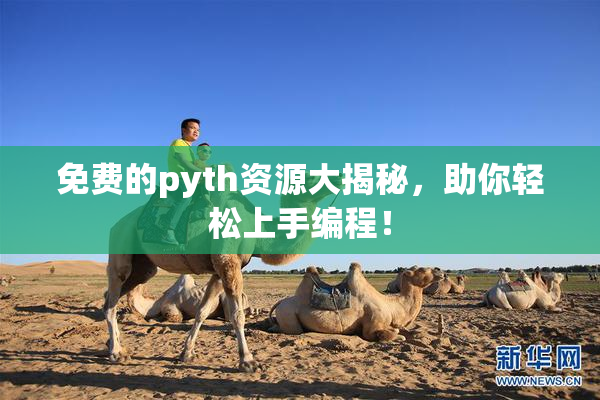 免费的pyth资源大揭秘，助你轻松上手编程！