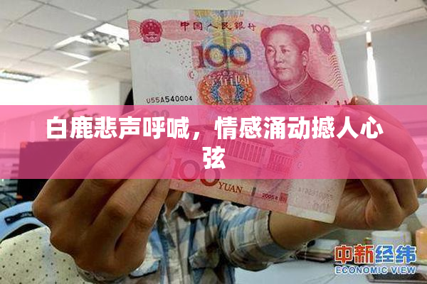 白鹿悲声呼喊，情感涌动撼人心弦