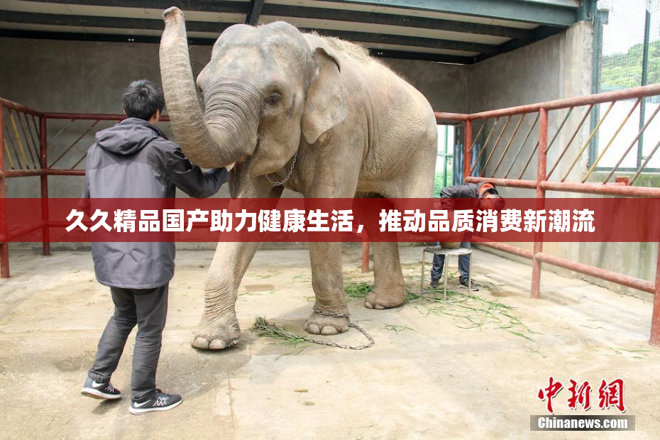 久久精品国产助力健康生活，推动品质消费新潮流
