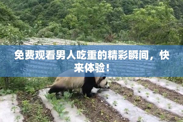 免费观看男人吃重的精彩瞬间，快来体验！