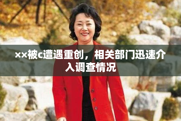 ××被c遭遇重创，相关部门迅速介入调查情况