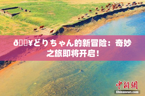 🔥どりちゃん的新冒险：奇妙之旅即将开启！