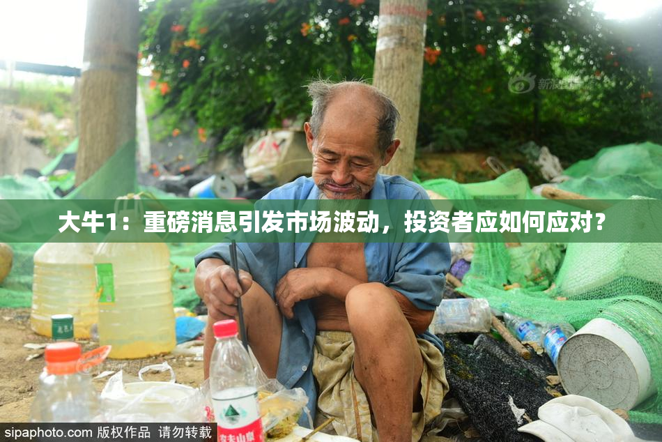 大牛1：重磅消息引发市场波动，投资者应如何应对？