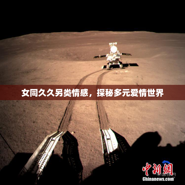 女同久久另类情感，探秘多元爱情世界