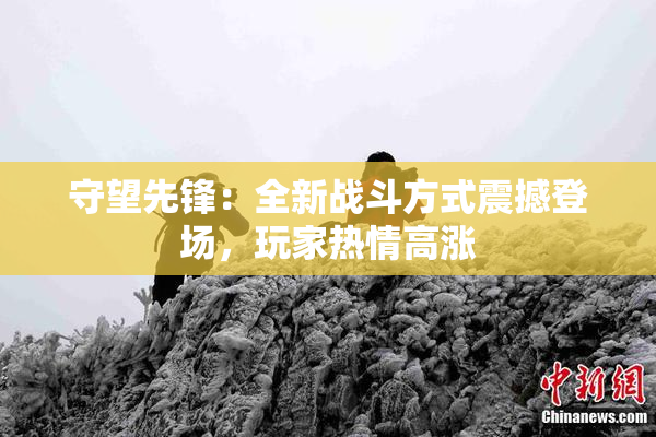 守望先锋：全新战斗方式震撼登场，玩家热情高涨