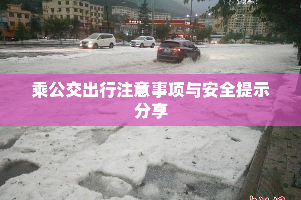 乘公交出行注意事项与安全提示分享